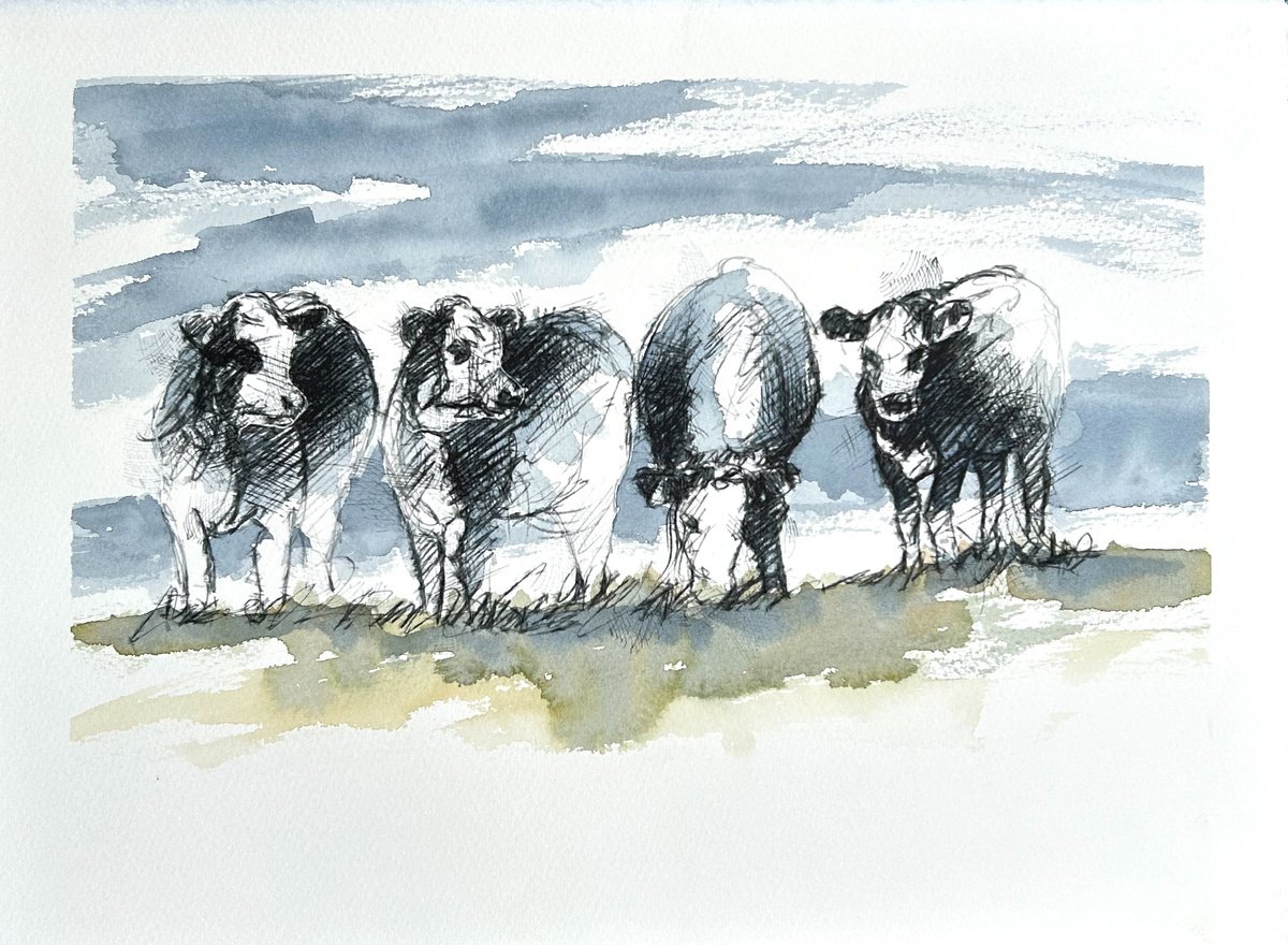 Impressionistic Animal Watercolour By Sean Briggs, 15 X 11", Hereford Cows, Original Artwork