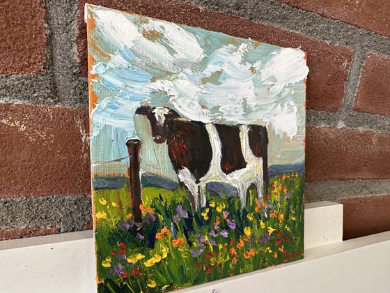 A cow in a field