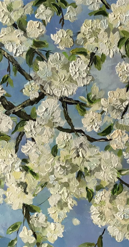 White Blossom by Colette Baumback