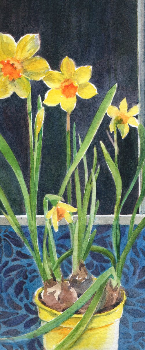 Narcissus in yellow pot by Anjana Cawdell