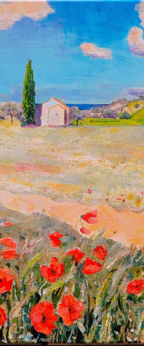Beautiful Côte Vermeille by Kathrin Flöge