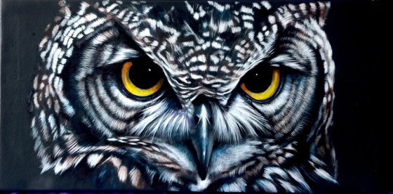 Owl: Mesmereyes