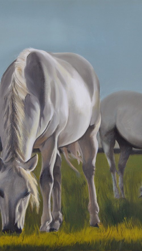 White Horses by Simona Tsvetkova