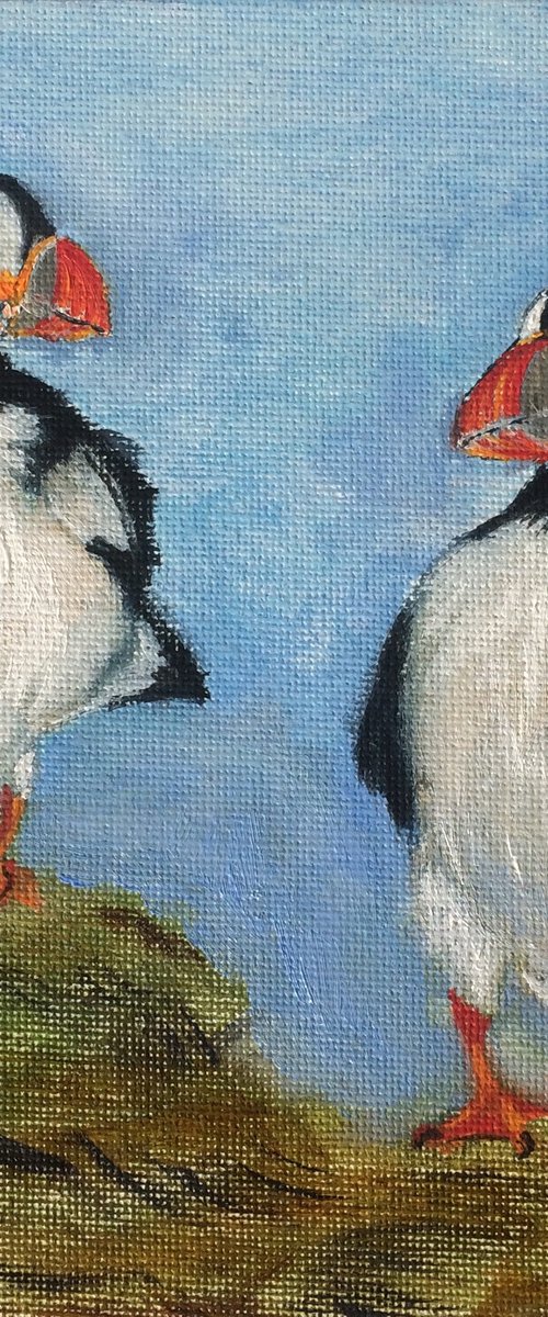 Bird portrait of couple puffins - Gift idea for bird lover by Olga Ivanova