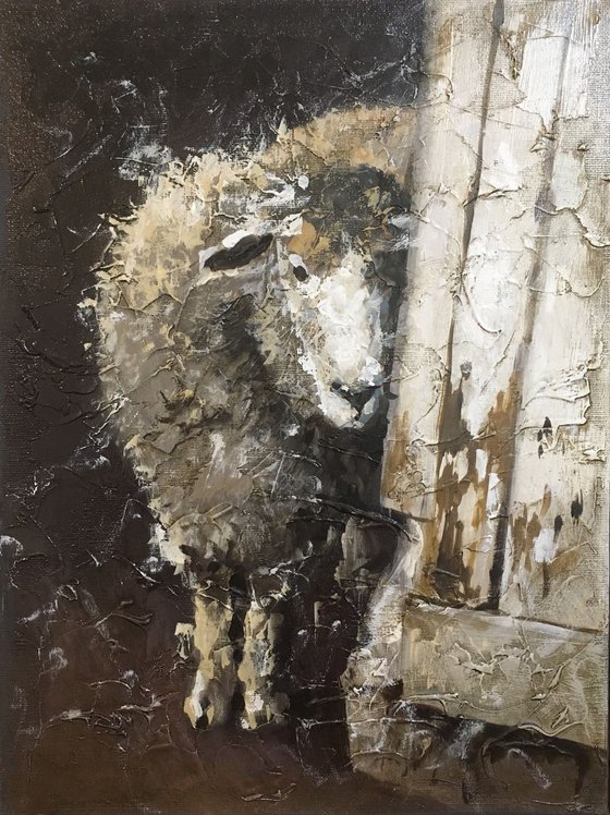 Unknown sheep