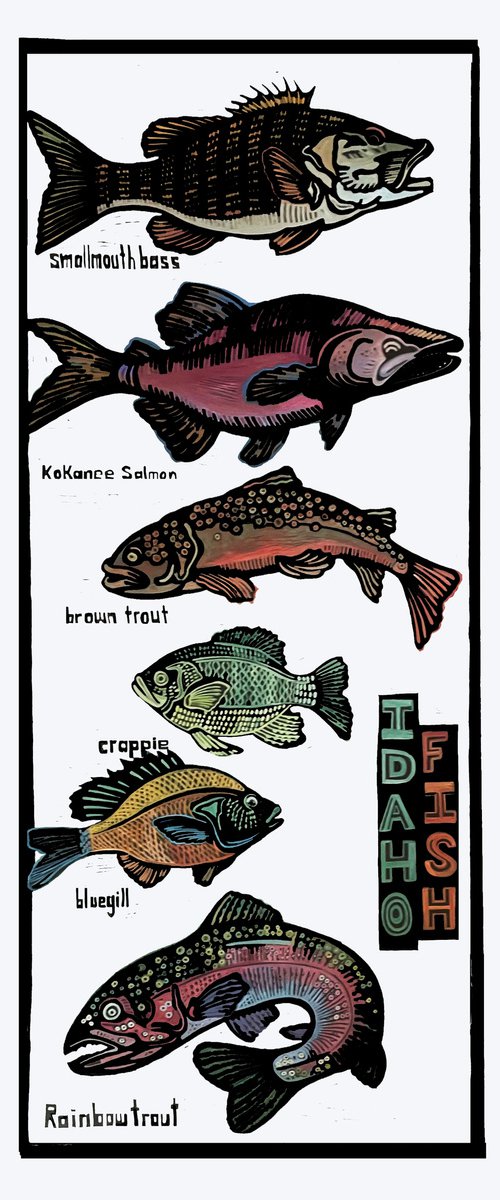 Idaho Fish by Laurel Macdonald