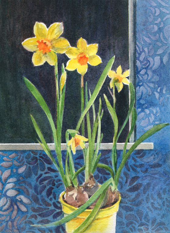 Narcissus in yellow pot