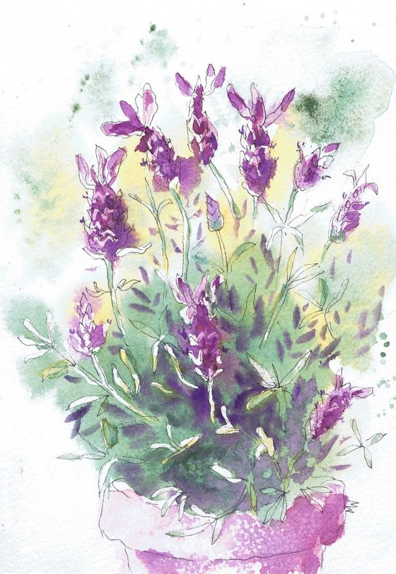 French Lavender (small watercolour flower)