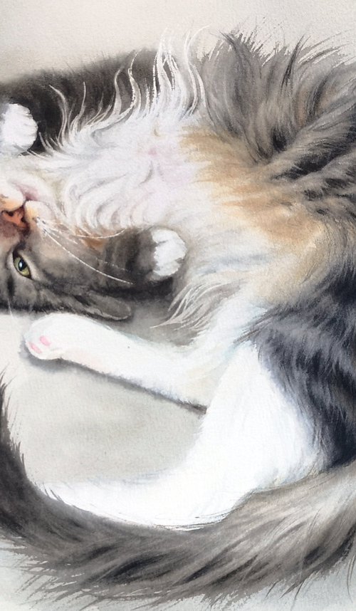 Complete Trust - sleeping cat by Olga Beliaeva Watercolour