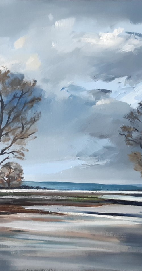 Fenlands-Late Autumn #3 by Steve Keenan