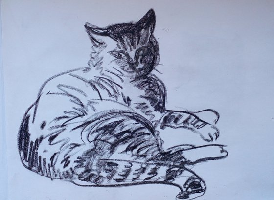 Happy Cat Sketch 1