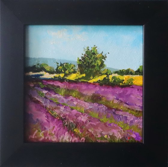 Lavender Fields Miniature Art