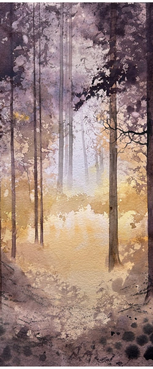 Warm Morning Forest by Nazar Grunyka