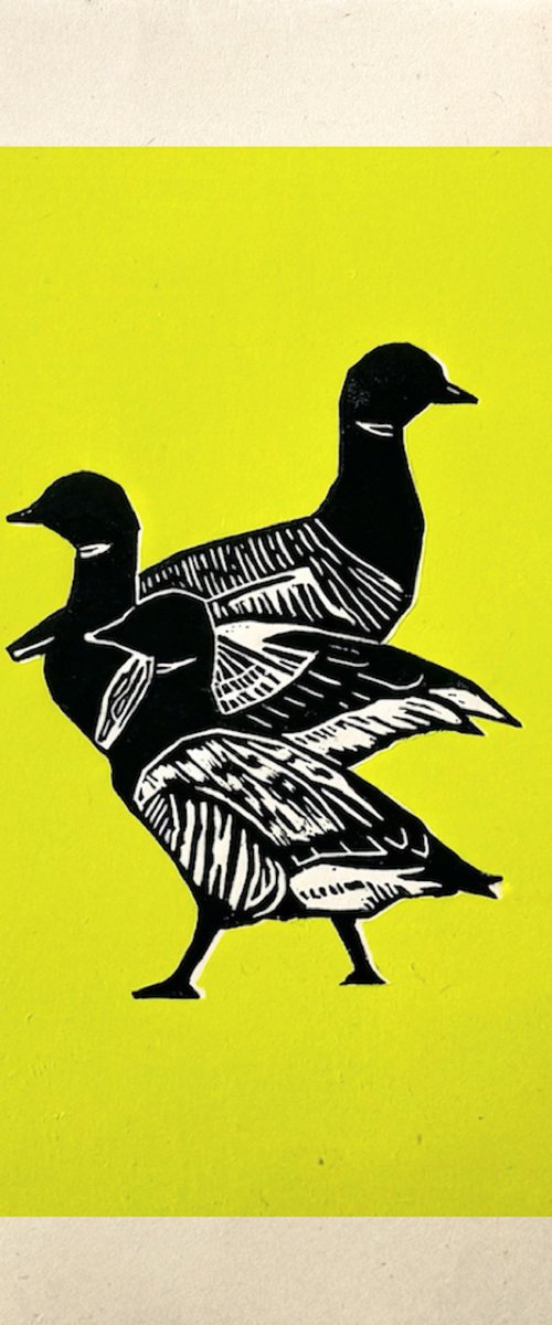 Three Brent Geese Lime Edition by Jem Gooding