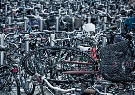 Danish Bicycle Chaos
