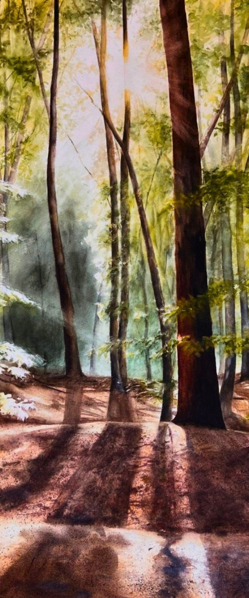 For(r)est by Annett Coumont