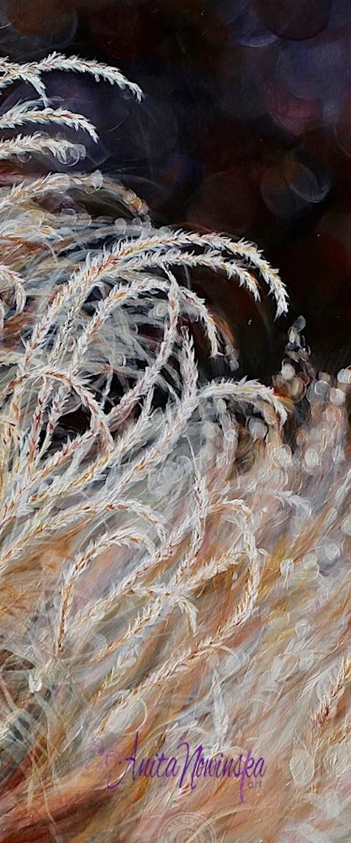 Durability- Autumn grasses by Anita Nowinska