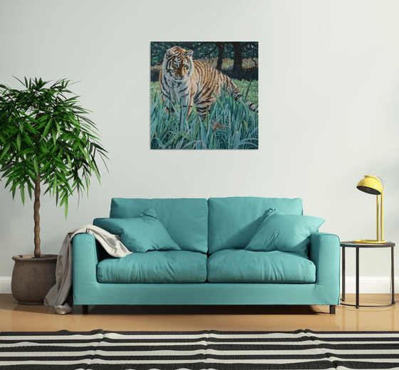 Amur Tiger - First Encounter