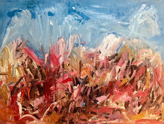Summer fields.