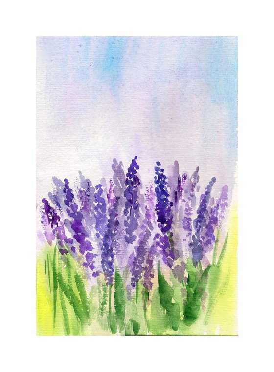 French Lavenders