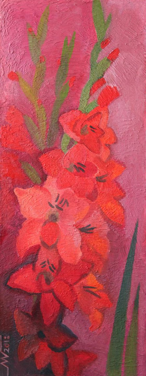 Red gladioluses