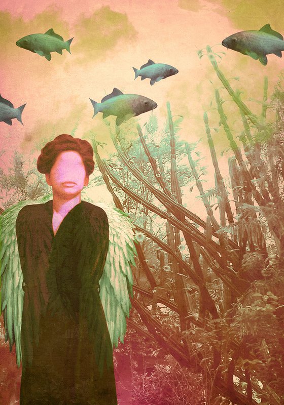 untitled - 31A