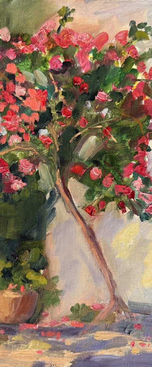 Pink Blossoms in Afternoon Light by Kate Sosonna