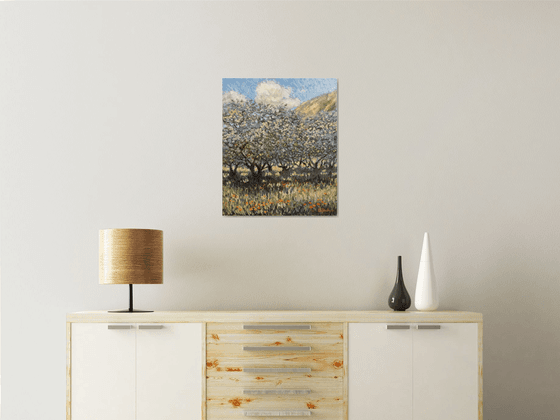 Olive groves of Provence