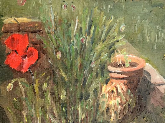 First Poppies - An original oil painting