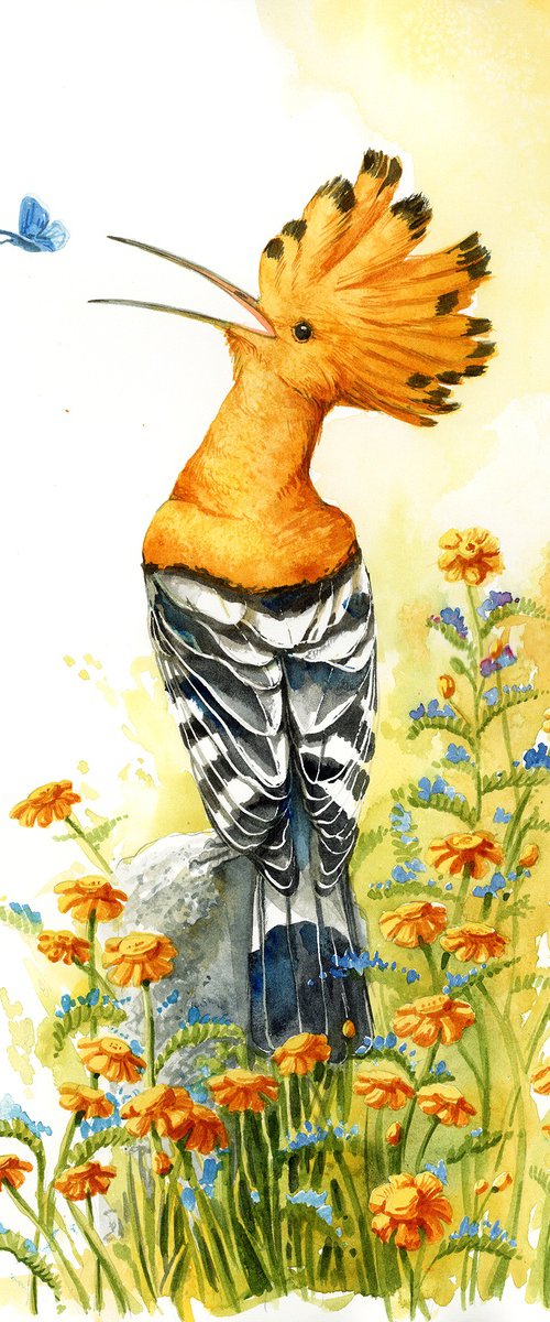 Hoopoe by Karolina Kijak