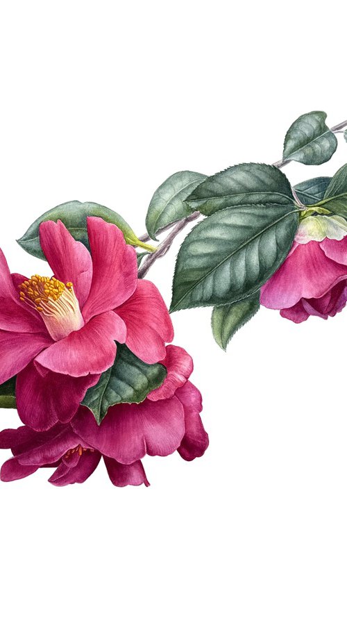 Camellia Painting by Yuliia Prokopchuk