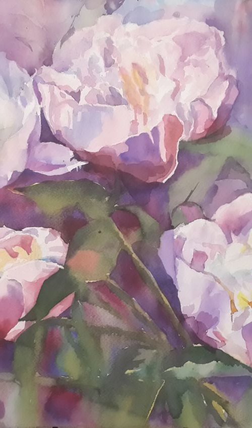 Peonies by Yurii Pashkov