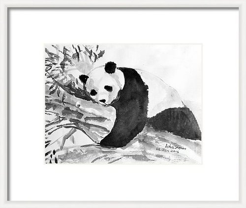 Giant Panda Animal art by Asha Shenoy
