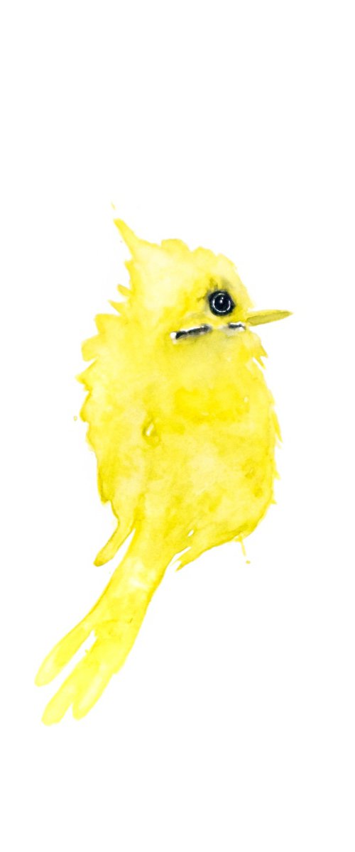 Bird by Nadia Moniatis