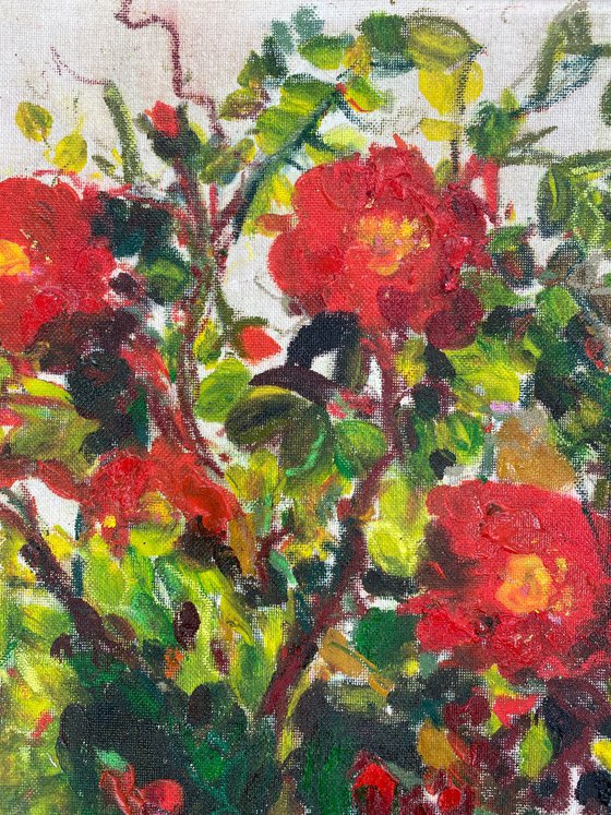 Rambling Red Roses