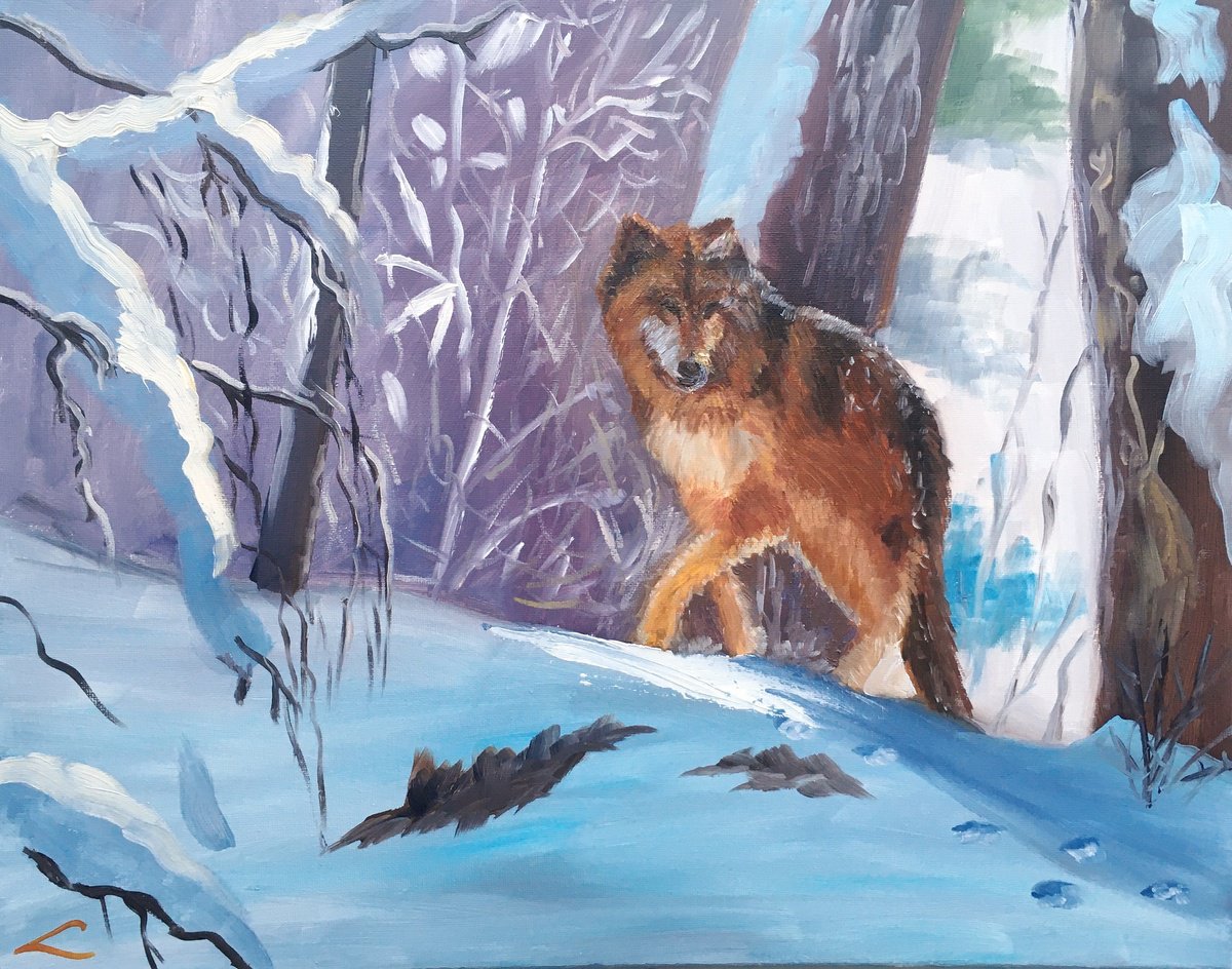 Impressionistic Animal Oil Painting By Elena Sokolova, 20 X 16, Winter Wolf, Original Artwork