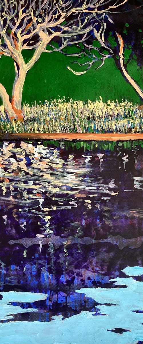 Sun and shade by John Cottee