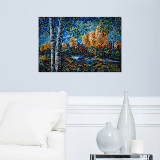 Colorado Light  Commission