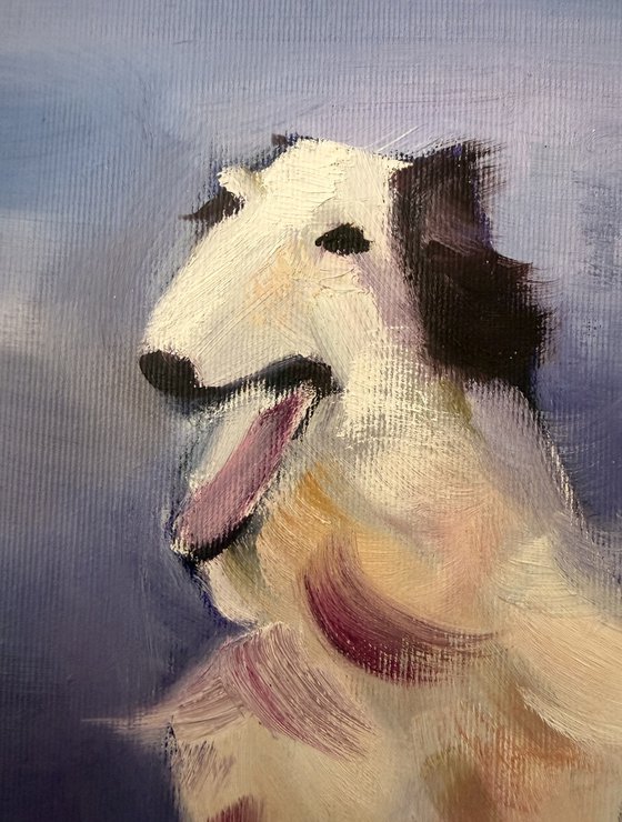 Hermes — Borzoi Portrait