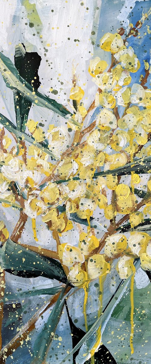 Sparkle and Shine - Golden Wattle By HSIN LIN by HSIN LIN