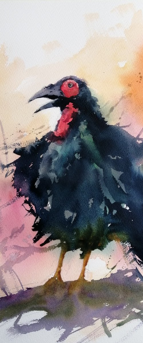 hornbill by Giorgio Gosti