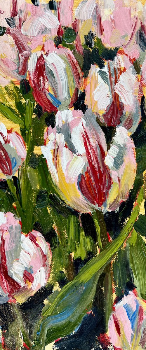 Tulips on the field by Anastasiia Levina