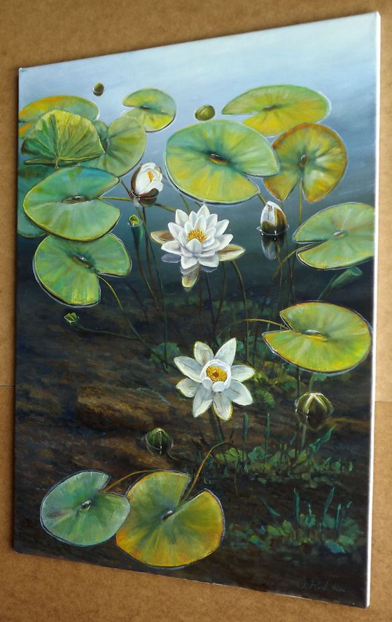 Water Lilies