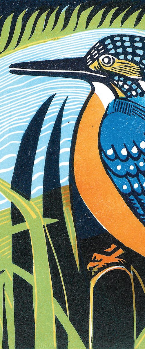 Pop by Amanda Ribbans