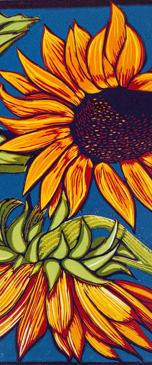 Sunflowers, Blue Sky by Marian Carter