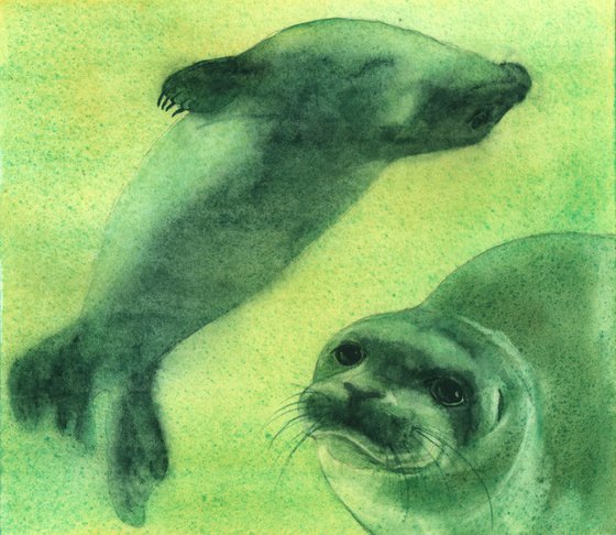 Watercolour Seals - original painting