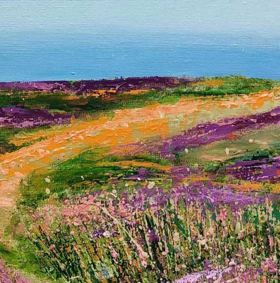 Coastal Cliff and Sea Breezes