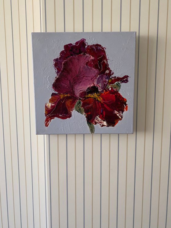 Iris on gray original painting on canvas flower
