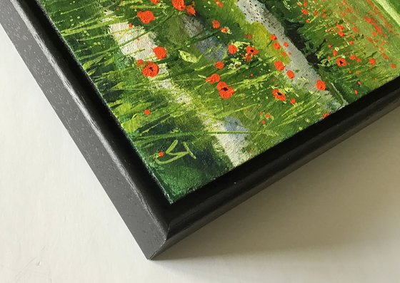 Poppy Field