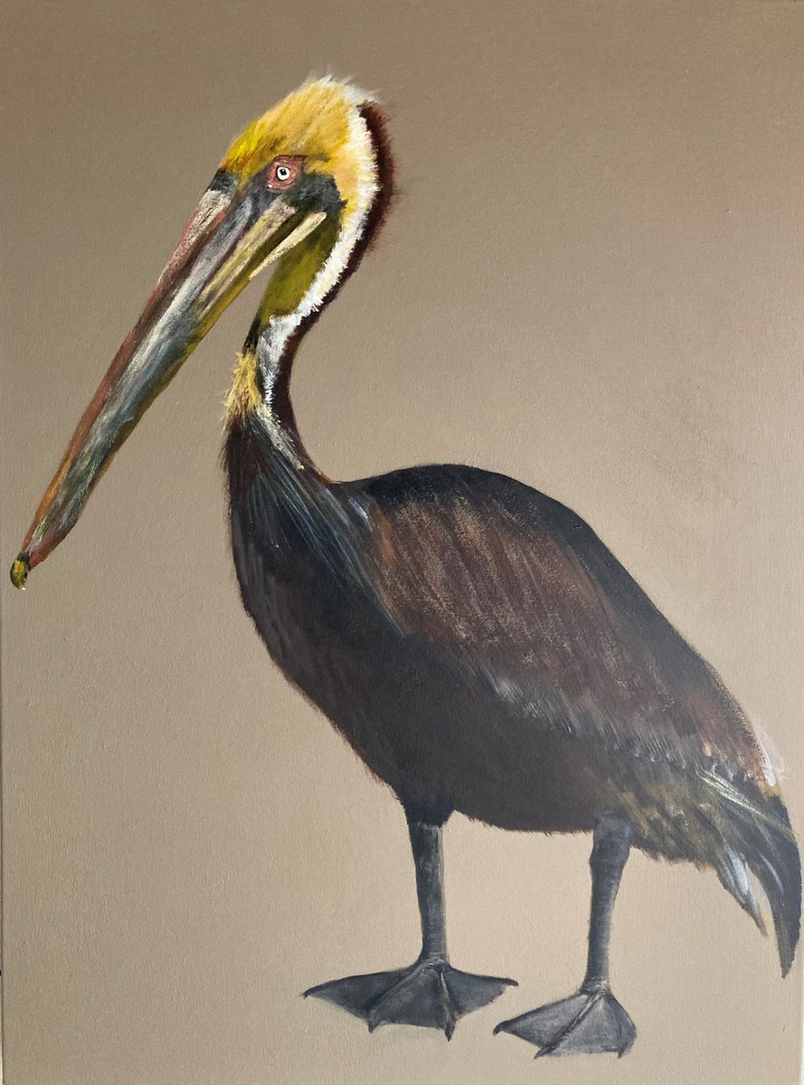 Pelican by Anna Lockwood